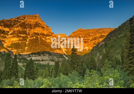 Roberts Horn au-dessus du Cirque Primrose au centre, lever du soleil, Mont Timpanogos derrière, Wasatch Range, depuis la route panoramique Alpine, Uinta Natl Forest, Utah, États-Unis Banque D'Images