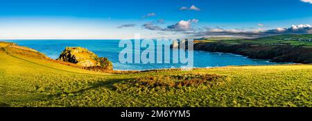 Panorama sur Lye Rock, Benoisath Cove et Bossiney Haven, Tintagel, Cornwall, Royaume-Uni Banque D'Images