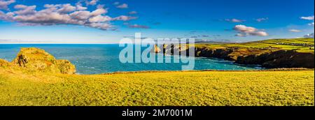 Panorama sur Benath Cove et Bossiney Haven, Tintagel, Cornwall, Royaume-Uni Banque D'Images