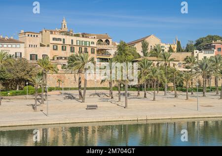 Palmen, Parc de la Mar, Palma, Majorque, Espagnol Banque D'Images