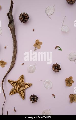 Flat Lay rustique création aménagement naturel des parties de plantes d'hiver sur fond rose. Cônes de sapin, lunaria, fleurs sèches, bourgeons de thuya, étoile en osier. Botanique s Banque D'Images