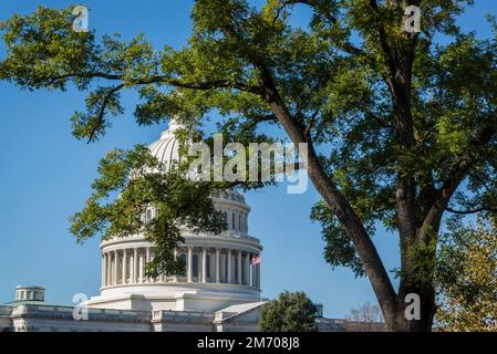 Le Capitole des États-Unis, le Capitole ou le Capitole, est le siège de la branche législative du gouvernement fédéral des États-Unis, qui est FO Banque D'Images