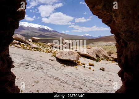 Rochers et herbe avec des montagnes enneigées en arrière-plan dans la réserve nationale en Bolivie Banque D'Images