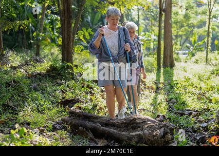 Sac à dos touriste aventure en plein air étude d'oiseaux marcher en rangée en traversant le bois sur le sol dans la jungle Banque D'Images