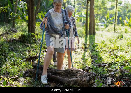 Sac à dos touriste aventure en plein air étude d'oiseaux marcher en rangée en traversant le bois sur le sol dans la jungle Banque D'Images