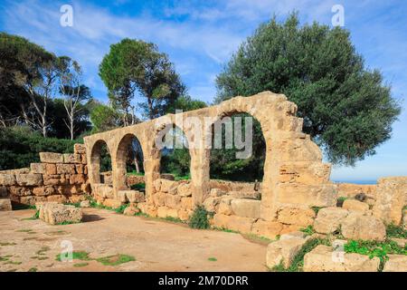 Ruines anciennes de Tipasa romaine avec la belle vue sur la côte méditerranéenne près de la ville de Tipaza, en Algérie Banque D'Images
