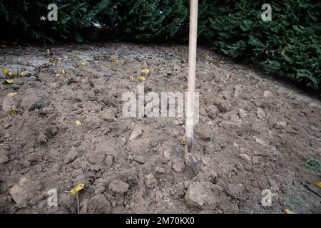 Opérations de creusage dans un potager pour préparer la terre pour le semis de printemps. Banque D'Images