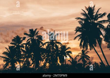 Vue sur un magnifique coucher de soleil sur une île tropicale avec un accent sélectif sur des silhouettes sombres de palmiers et de verdure au premier plan et spectaculaire skyscap Banque D'Images