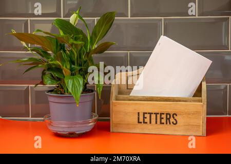 intérieur de style de vie en pot plante de feuille verte intérieure sur un bureau rouge avec porte-lettres en bois Banque D'Images