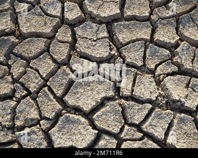 Champ sec fissuré. Texture naturelle du sol avec fissures. Fond de terre fissuré. Grandes fissures dans le sol. Banque D'Images