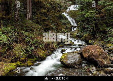 Une vue panoramique sur les chutes de Bunch sur le bord de la route entre les plantes vertes et les pierres Banque D'Images