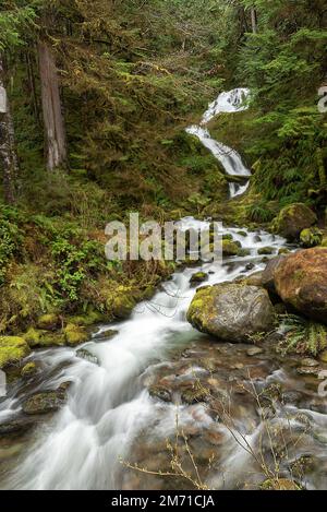 Un cliché vertical des chutes du ruisseau Bunch entre les plantes vertes et les pierres Banque D'Images