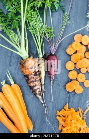 Carottes arc-en-ciel fraîchement récoltées recouvertes de terre avec des tranches de carottes vues depuis le haut sur une ardoise. Banque D'Images