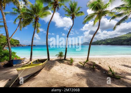 Des palmiers Coco et des bateaux de pêche sur une plage de sable de l'île Paradise. Banque D'Images