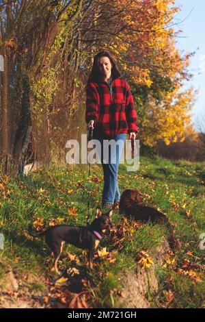 Processus de marche avec deux chiens dans un parc de campagne, joie d'avoir plusieurs chiens, fille jouant avec le dachshund et terrier jouet, dans un automne su Banque D'Images