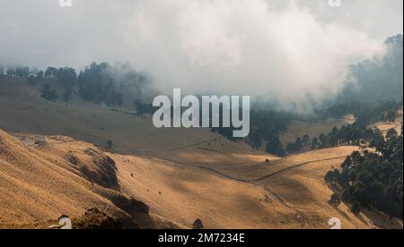 paysage d'automne au-dessus du volcan iztaccihuatl dans le parc national izta-popo, collines avec des arbres avec un ciel nuageux, pas de personnes Banque D'Images