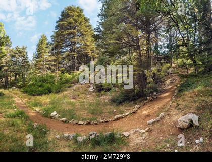 Panorama du sentier de randonnée dans la réserve naturelle de la forêt de Cèdre de Tannourine, Liban Banque D'Images