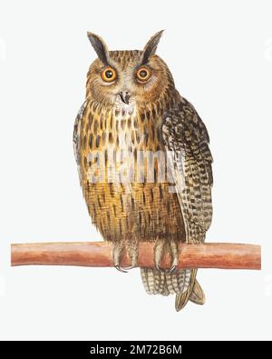 Illustration hibou vintage à longues oreilles en vecteur Illustration de Vecteur