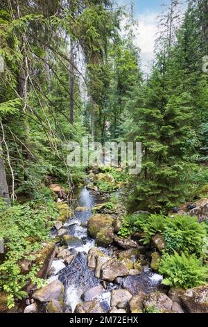 Belle cascade de Triberg Allemagne Banque D'Images