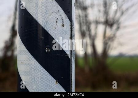 Texture noire et blanche sur un poteau avec des arbres dans l'arrière-plan vus de près Banque D'Images