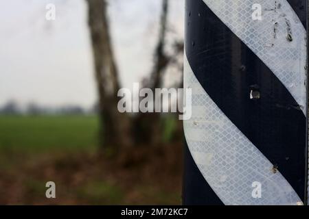 Texture noire et blanche sur un poteau avec des arbres dans l'arrière-plan vus de près Banque D'Images