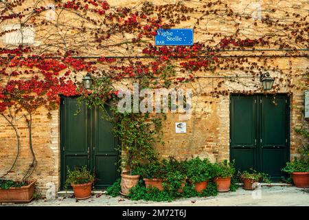 Vignes rouges sur la façade en brique de la barre 'Vaghe Stelle' du film du même nom. Le nom prend le début de Giacomo Leopardi. Recanati Banque D'Images