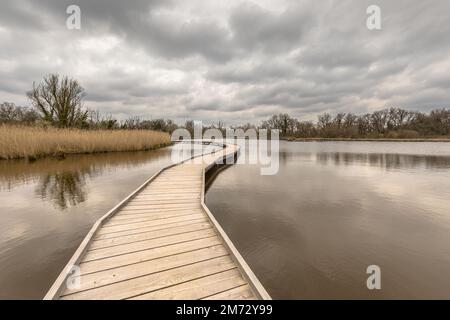 Promenade sur le lac au début du printemps dans la réserve naturelle la Brenne, France. Accessible aux personnes à mobilité réduite. Scène sauvage de la nature en Europe. Banque D'Images