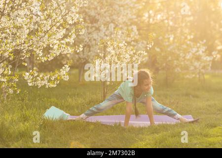 Petite fille enfant faisant de l'exercice de yoga s'étendant sur l'herbe dans la journée ensoleillée d'été. Un enfant flexible, faisant des exercices de gymnastique. Sports, apprentissage Banque D'Images