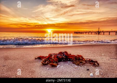 Stimmungsmoller Sonnenuntergang am Ostseestrand Darß Wustrow Banque D'Images