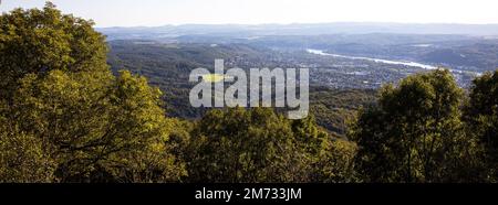 vue sur la vallée du rhin depuis le siebengebirge allemand en été Banque D'Images