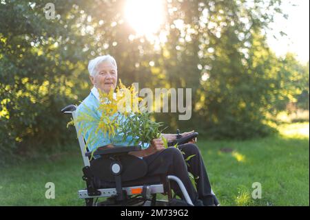 vieille femme assise dans un fauteuil roulant et portant un bouquet de fleurs sauvages jaunes Banque D'Images