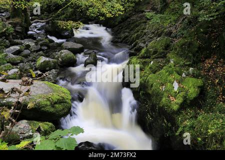 Couleurs d'automne à Aira Beck, chute d'eau d'Aira Force, Ullswater, parc national de Lake District, Cumbria, Angleterre Banque D'Images