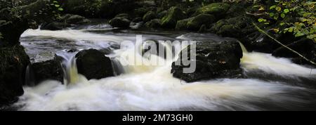 Couleurs d'automne à Aira Beck, chute d'eau d'Aira Force, Ullswater, parc national de Lake District, Cumbria, Angleterre Banque D'Images