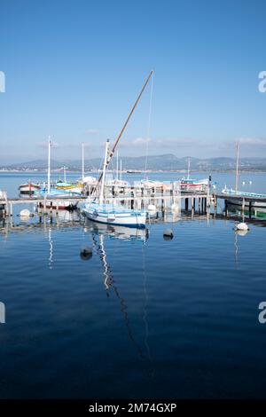 Bateaux de pêche traditionnels, colorés et typiques, lateen ou latins-rig au port de six-fours-les-plages, au sud de la France Banque D'Images