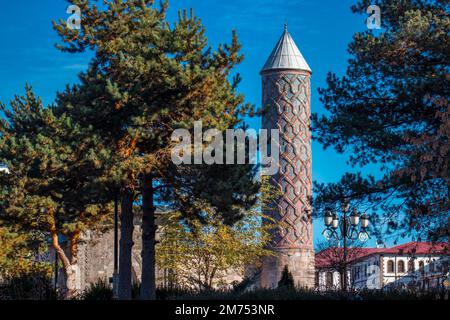 Yakutiye Madrasa minaret. Symbole de la province d'Erzurum. Parmi les arbres. Banque D'Images