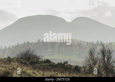 Les collines d'Eildon vues depuis le sommet de Black Hill, dans les frontières écossaises près d'Earlston. Banque D'Images