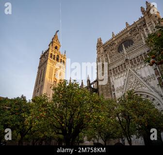 Giralda, le clocher de la cathédrale de Séville à Séville, Espagne qui a été construit comme minaret pour la Grande Mosquée de Séville à al-Andalus. Banque D'Images