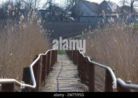 Vieux pont en bois étroit de l'autre côté de la rivière. La rivière était surcultivée avec des roseaux Banque D'Images