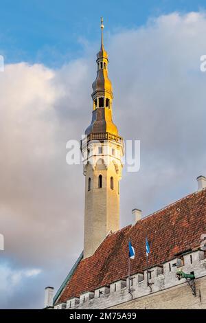 Tallinn, Estonie - 19 octobre 2022 : ville avec hôtel de ville et place du marché au centre de la vieille ville médiévale de Tallinn, en Estonie, site classé au patrimoine mondial de l'UNESCO Banque D'Images