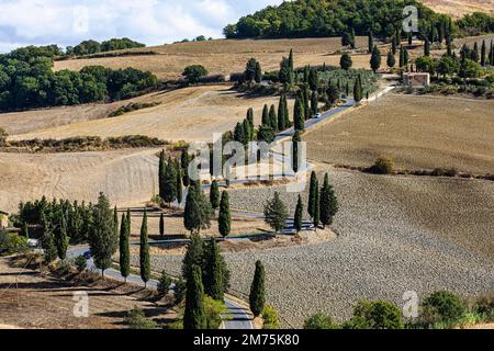 Route sinueuse avec cyprès (Cupressus) mène à travers les champs labourés, Montichiello, Toscane, Italie Banque D'Images