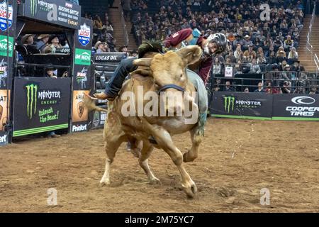 New York, New York, États-Unis. 6th janvier 2023. (NOUVEAU) 2023 Professional Bull Riders lâchez la bête au jardin. 06 janvier 2023, New York, New York, Etats-Unis: Ednei Caminhas manèges Man Hater pendant les professionnels Bull Riders 2023 déchaînez l'événement de la Bête au Madison Square Garden sur 6 janvier 2023 à New York. Credit: M10S/TheNews2 (Credit image: © M10s/TheNEWS2 via ZUMA Press Wire) Banque D'Images