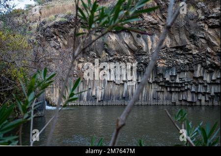 La piscine Hexagon Breichat HaMeshushim est une piscine naturelle située près de la rivière Meshushim, dans la réserve naturelle de la forêt de Yehudiya, au centre du plateau du Golan. Israël Banque D'Images