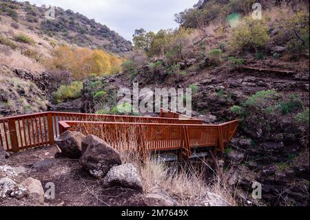 Pont sur le ruisseau de montagne Meshushim. Nahal Meshushim. Roches sous forme de colonnes de basalte hexagonales. Israël Banque D'Images