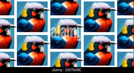 Oiseaux de bande dessinée colorés, dessinés à la main, motif vectoriel sans couture Illustration de Vecteur