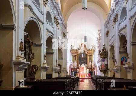 Opava (Troppau) : Monastère minorite avec église de l'Esprit Saint (Kostel svateho Ducha), nef in , Moravskoslezsky, région morave-Silésie, Mähris Banque D'Images