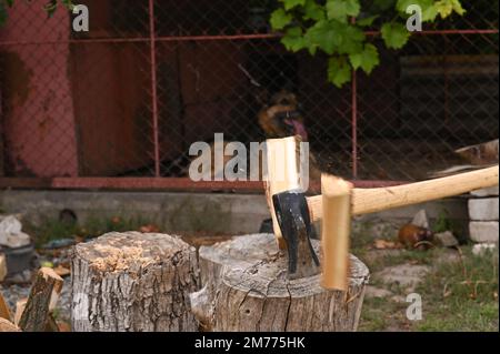 le cale a divisé la bûche en bois de chauffage. les parties du journal sont en mouvement. mise au point sélective. Banque D'Images