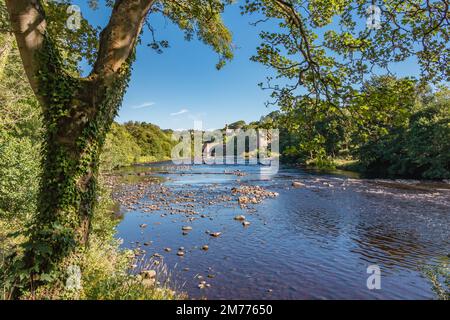 Matin d'été sur la rivière Tees au château de Barnard, Teesdale Banque D'Images