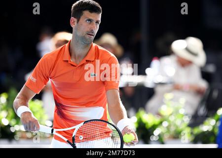 Adélaïde, Australie, 8 janvier 2023. Novak Djokovic, de Serbie, sert le ballon lors du match final de tennis international d'Adélaïde entre Novak Djokovic, de Serbie, et Sebastian Korda, des États-Unis, à Memorial Drive sur 08 janvier 2023, à Adélaïde, en Australie. Crédit : Peter Mundy/Speed Media/Alay Live News Banque D'Images