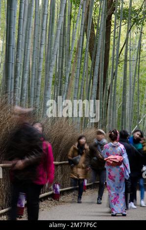 Kyoto, 12 décembre 2017: Personnes marchant à côté de la forêt de bambou d'Arashiyama. Japon. Banque D'Images