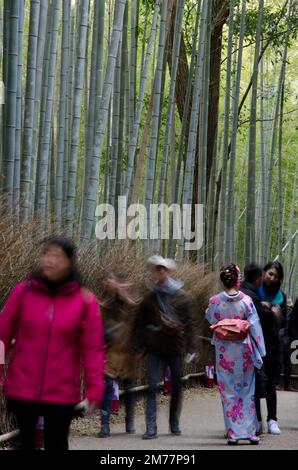 Kyoto, 12 décembre 2017: Personnes marchant à côté de la forêt de bambou d'Arashiyama. Japon. Banque D'Images